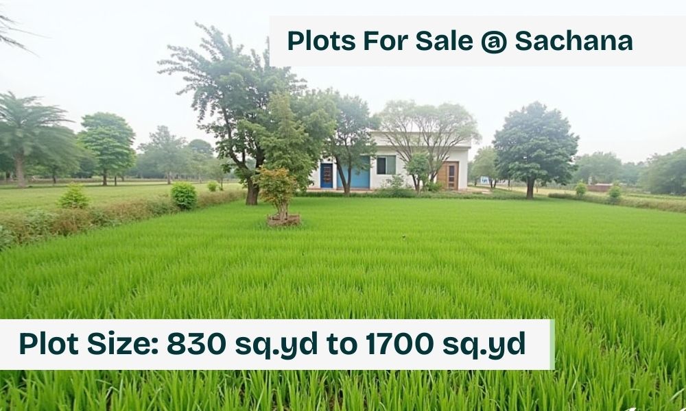 Residential Plots / Land for sale in Sachana, Ahmedabad